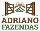 Adriano Corretor de Im�veis